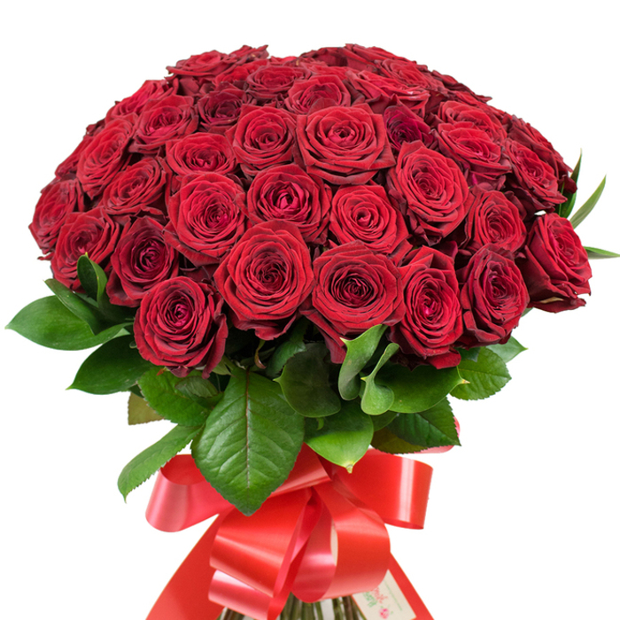 When gathered in your hands, this lavish bouquet feels like an embodiment of Stanmore's refined romance-over fifty crimson red roses arranged in a domed cluster so full that each bloom seems to nestle into its neighbour, creating a luxurious swirl of velvety petals and subtle shadows. Gentle daylight falls upon the arrangement, casting soft highlights and revealing the complexity within each petal-some tightly furled, others gracefully open in a show of passionate elegance. The roses are encircled by robust, glossy green leaves, a nod to Stanmore's lush parks and green spaces, their veins adding visual depth and a satisfying tactile contrast. At the bouquet's base, the sturdy stems are wrapped in a sumptuous red satin ribbon, meticulously tied into a wide, multi-layered bow, the ends tumbling like festive streamers often glimpsed at Stanmore's community gatherings. This is a bouquet that invites grand emotions-ideal for proposals, romantic surprises, anniversaries, or simply marking a day of deep significance with a vibrant, artistic flourish from a trusted Stanmore florist. Every aspect-from colour harmony to detailed arrangement-captures the care, tradition, and expertise cherished by those who call Stanmore home.