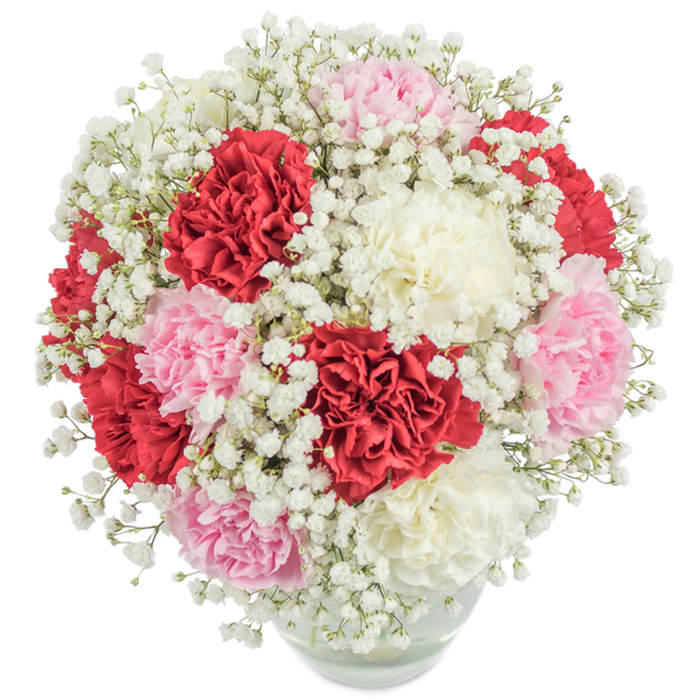 A sumptuous bouquet, brimming with classic romance and contemporary flair, stands proudly in a round glass vase-its full-bodied carnations in deep red, tender blush pink, and creamy white shining under soft, clear light. Each carnation head is made up of intricate, ruffled petals layered in abundance, mirroring the depth and complexity of Stanmore's heritage. Wisps of pure white baby's breath drift between the blossoms, bringing an ethereal softness, like morning clouds over Stanmore Marsh. The bouquet's dense, nearly spherical composition feels designed for celebration-a statement piece that brings together the freshness of local markets and the artistry of the area's skilled florists. The carefully gathered stems and sparkling water are visible through the vase's lower half, grounding the display in the promise of lasting beauty. Positioned on a bright background and illuminated evenly, the arrangement reveals every detail: the gradation of petal hues, the crisp contrast between each flower, the sense of fullness and joy. This bouquet is a versatile, sophisticated gift-perfect for birthdays, anniversaries, gestures of thanks, or decorating homes in Stanmore and its surrounding villages. It's a floral display that radiates both love and local pride.
