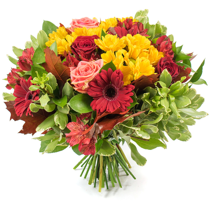 A lush, rounded hand-tied bouquet set against a plain white background, deliberately arranged to celebrate the rich, comforting tones of autumn and to showcase careful floral technique. The composition is anchored by several deep, velvety red roses-their layered petals catching the light-and broad, wine-hued gerbera daisies with slightly darker centres that command attention. Interwoven through these darker anchors are clusters of small, bright yellow chrysanthemum-like blooms, whose tight, multi-petaled heads bring a cheerful, sunlit sparkle to the arrangement. Soft coral and blush roses provide a gentle counterpoint, their delicate petals creating subtle transitions between the intense reds and the golden yellows. Speckled orange-red alstroemeria add dynamic texture and movement with their slender, often striped petals, while a rich assortment of foliage-glossy deep green leaves alongside lighter, variegated greenery-gives the bouquet depth and a tactile variety. Strategically placed throughout are several large, reddish-brown and bronze-toned leaves that echo fallen oak and maple, lending a rustic, woodland note and strongly signalling a fall theme that feels at home in the Stanmore neighbourhood at the edge of Harrow. The stems are gathered and bound at the base, visible as a fresh bundle of green stalks resting on the surface, showing the hand-tied craftsmanship that allows the bouquet to sit naturally as a centrepiece or to be carried to a nearby gathering. Bathed in soft daylight, the petals seem to glow and the scent of roses and late-season blooms hints at hearthside warmth, making this arrangement perfect for Thanksgiving, harvest celebrations, or a thoughtful seasonal gift.