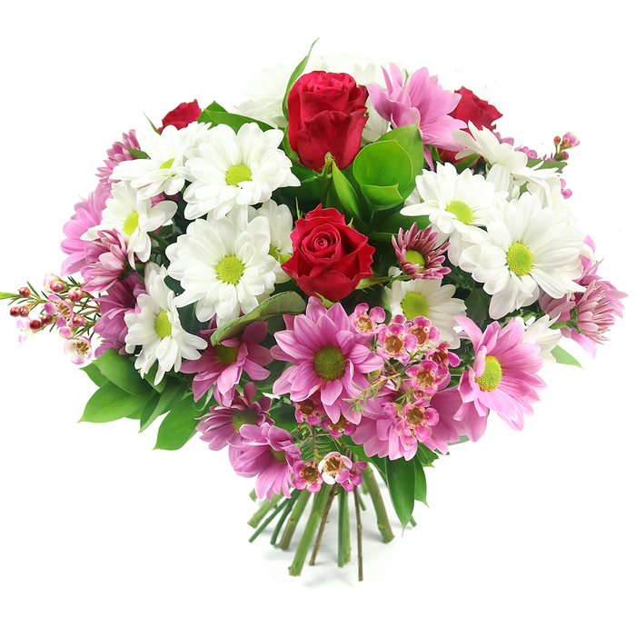 A beautifully composed hand-tied bouquet sits against a clean white background, every blossom clearly defined, as if just arranged on a workbench in a Stanmore florist's studio. Dominating the focal point are two luxurious deep red roses, their petals tightly layered in perfect spirals, suggesting both freshness and a sense of enduring affection. Around them gathers a cloud of white daisy-like chrysanthemums, their petals crisp and bright, each flower featuring a prominent lime-green centre that injects a burst of energy into the design. Interspersed between the white blooms are numerous pink and blush daisy chrysanthemums with the same vivid green centres, the gradation from soft shell pink to deeper rose tones adding warmth and a gentle, celebratory character. Delicate sprays of pale pink filler flowers, resembling waxflowers with their tiny, rounded petals and visible stamens, thread through the bouquet and are especially noticeable toward the lower edges, where they lend an airy, almost lace-like texture. Lush greenery anchors the arrangement: broad, dark green leaves provide a strong, glossy base, while finer, lighter foliage peeks through, creating natural shadows and highlights like dappled light in one of Stanmore's leafy side streets. The stems are clearly visible at the bottom, gathered tightly and neatly trimmed, confirming this as a professionally crafted, ready-to-vase hand-tied design. The bouquet exudes a feeling of joyful refinement, ideal for special occasions such as birthdays, anniversaries, or Mother's Day, and would sit beautifully on a Stanmore kitchen table or office desk, a fresh reminder of local flower delivery bringing nature's colour and calm indoors.