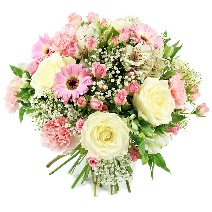 Captured against a pristine white background, this hand-crafted bouquet showcases a harmonious blend of classic and contemporary flowers that together create a soothing, romantic atmosphere. At its heart are generous cream and ivory roses, fully open and perfectly formed, with petal upon petal curling outwards in even, elegant spirals that command attention without overwhelming the design. Scattered among them, clusters of pink spray roses bring a more informal charm, their small buds and semi-open blooms dotting the bouquet with touches of soft blush and rose-pink. Distinctive pink gerbera daisies, instantly recognisable by their symmetrical, flat petals and deep, dark centres, introduce a brighter accent, like moments of laughter during a family gathering in Stanmore Country Park. Pale pink carnations with deeply ruffled petals expand the bouquet's volume, their frills catching the light and casting gentle, layered shadows that add a sense of depth and comfort. Threaded between the larger blooms are white alstroemeria, whose slender petals display fine reddish-brown markings, lending a delicate, almost secret detail to anyone who looks closely. Wispy stems of white gypsophila, or baby's breath, are generously woven throughout, creating a soft, delicate haze that pulls all the elements together into a cohesive whole. Fresh green foliage, in various shades from bright to slightly deeper tones, frames the flowers and offers a natural contrast to the pastel palette, grounding the arrangement. The stems at the base are cleanly cut and neatly tied, suggesting a bouquet freshly prepared by an experienced florist in Stanmore, ready for delivery along Marsh Lane or towards Stanmore Hill. The overall effect is one of thoughtful celebration and gentle warmth, ideal for birthdays, anniversaries, thank you messages, or simply brightening someone's day at home or work.