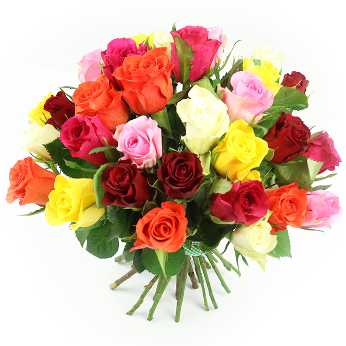 A richly coloured bouquet of roses is shown in full, set against a bright, uncluttered white background that makes the arrangement appear almost as if it is floating. The roses are tightly grouped into a generous, rounded dome, giving a sense of fullness and considered design, as you might expect from a trusted local Stanmore florist. The palette ranges from intense crimson and classic red roses to lively oranges and deep coral shades, weaving through bright, sunshine yellows and vivid fuchsia blooms. These vibrant tones are tempered by softer pastel pinks and creamy ivory roses, which introduce a soothing balance, preventing the brighter colours from overwhelming the eye. Each bloom is captured with attention to detail: some roses are fully open and lush, revealing their intricate spiral centres, while others remain more compact, their petals still hugging close, evoking the promise of continued blooming. Between the petals, textured dark green foliage and leaves emerge, providing a natural framework that echoes the greenery of Canons Park and the tree-lined streets around HA7. Beneath the mass of flowers, sturdy green stems extend downward in a neat bundle, tied together with a green-and-white gingham ribbon that adds a gentle, homely charm and hints at a bouquet ready to be handed over in person. Even, flattering light illuminates the arrangement, highlighting the silky surfaces of the petals and the cool sheen of the stems against the pure white surface. This image conveys the feeling of a joyful, heartfelt gift-perfect for illustrating same-day rose delivery in Stanmore for birthdays, anniversaries, or any moment when you want to send warmth and celebration to someone special.