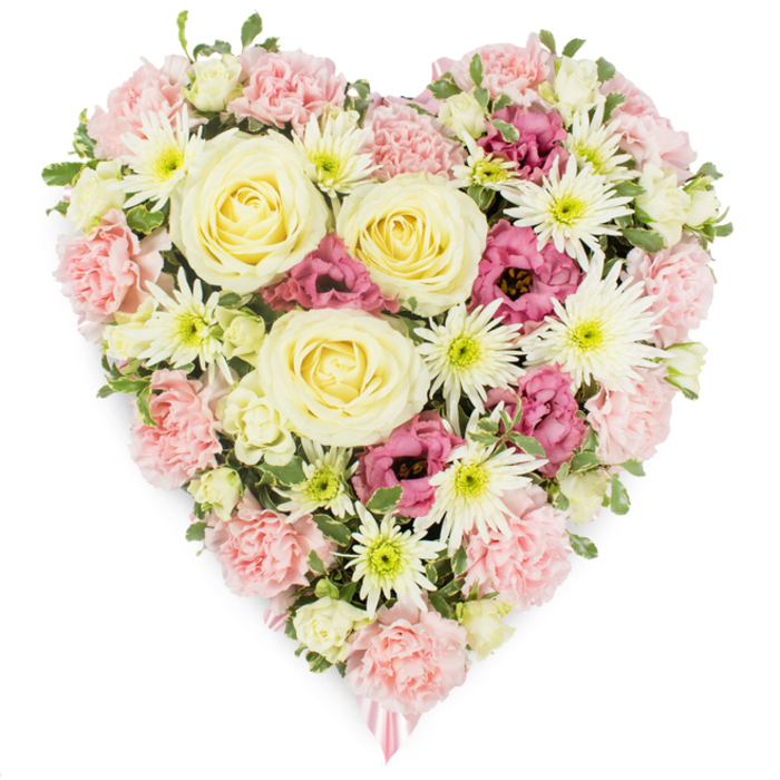 A lavish heart-shaped floral arrangement, clearly intended as a sympathy or memorial tribute, appears against a stark white background where every detail of the flowers can be appreciated. The heart is tightly filled, giving a sense of fullness and continuity that mirrors the completeness of the shape. At the visual centre, several large roses in creamy yellow tones dominate, their petals meticulously spiralling outward with a polished, almost porcelain-like finish, drawing the eye immediately. Surrounding these focal roses is a generous band of pale pastel pink carnations, their ruffled heads packed closely together so their soft, feathery edges blend into one another, forming the main outline and volume of the heart. Interspersed throughout this pink cushion, bright white spider chrysanthemums add striking texture; their numerous thin petals splay outwards from light green centres, bringing a fresh, slightly modern note to the otherwise classic mix. Deeper magenta-pink lisianthus blooms are thoughtfully placed around the arrangement, their rounded, bell-shaped flowers adding pockets of depth and a more intense hue that hints at profound emotion and treasured memories. Small accents of green foliage and a scattering of pale buds slip between the larger blossoms, giving the impression of a carefully tended garden clipped and composed into a single, meaningful design. At the lowest point of the heart, a delicate pink ribbon just peeks into view, indicating a possible personalised message for a loved one. This floral heart feels perfectly suited to accompany a coffin or stand near a memorial photo at services in Stanmore, offering a gentle, visual expression of love, remembrance, and respect.