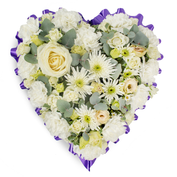 A carefully composed, heart-shaped floral tribute occupies a crisp white field, its palette of ivory, cream and pale green designed to communicate reverence and calm. The central touchstone is a single, large creamy-white rose whose concentric, velvety petals unfurl with quiet symmetry. Encircling the central rose are plush white carnations whose ruffled textures build the heart's volume and softness, creating gentle contours along the outer curves. Interspersed among these are white spider chrysanthemums-long, narrow petals that add a spiky, sculptural contrast-and numerous small button chrysanthemums whose lime-tinged centres bring subtle brightness. Scattered throughout the massed blooms are mini cream roses and clusters of closed lisianthus buds, introducing points of intimate detail and an impression of buds still holding memory within.
Blue-green eucalyptus leaves, with their cool, rounded forms and almost matte finish, are nestled between flowers to offer depth, gentle shadow and a faint, clean fragrance reminiscent of walks near Stanmore High Street or the green margins of Bentley Priory. A deep purple, ruffled ribbon frames the heart in a scalloped outline, its saturated hue providing a solemn punctuation that both defines and elevates the composition. The arrangement's dense layering and considered spacing reveal experienced floral technique-each bloom placed to balance texture, colour and emotional intent. Suitable as a funeral cushion or memorial heart, this piece expresses enduring love, peaceful remembrance and quiet dignity for families arranging services around Stanmore and nearby communities.