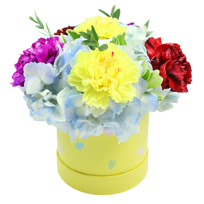 A lush, dome-shaped bouquet emerges from a cylindrical pastel yellow gift box, each bloom chosen and placed with the care of a local Stanmore florist. Central to the composition are two showy yellow carnations with richly ruffled petals that sweep outward in soft lemon tones. Encircling and supporting them are generous clusters of periwinkle blue hydrangeas, their tiny florets forming a textured, cloud-like cushion that cools the palette and enhances the carnations' brightness. A striking magenta carnation on the left and a sumptuous burgundy-crimson carnation on the right create a triangular rhythm of colour, while slender sprigs of fresh greenery peek through the blooms, adding lightness and natural rhythm to the arrangement.
The gift box itself is a cheerful detail: smooth lemon-lime paperboard decorated with irregular pastel polka dots-light blue, pale pink and soft green-with occasional white speckling that catches the eye. That playful pattern suggests occasions such as birthdays, baby showers and springtime celebrations and gives the bouquet a boutique, thoughtfully curated feel. The scent is subtle and sweet, the carnations' warm, clove-like perfume balanced by the hydrangeas' fresh, cool note.
Prepared and packaged for hand-delivery or doorstep delivery across Stanmore and nearby Harrow, this arrangement is a signature design available from Flower Delivery Stanmore. It's ideal for brightening a living room window on Stanmore High Street, lifting spirits for a get-well visit near Bentley Priory, or arriving as a surprised gift left for friends returning from a walk across Stanmore Common-an intimate, joyful present with both visual polish and neighbourhood familiarity.