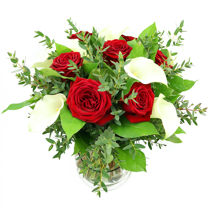 A striking bouquet featuring a harmonious blend of deep red roses and elegant white calla lilies is showcased in a clear glass vase, set against a brilliant white background that isolates and celebrates every shape and hue. The central cluster of red roses-about six or seven blooms-are fully open and densely petalled, each velvety spiral creating a cushion of rich crimson, evocative of classic love stories and candlelit dinners. Rising among them are several white calla lilies, their elongated, trumpet-shaped petals curling in smooth, almost architectural lines around slim yellowish-orange spadices, giving the arrangement a statuesque, sophisticated feel. Around these main flowers, an abundance of greenery adds depth and texture: arching stems of eucalyptus bear slender, rounded leaves in a soft blue-green tone that soften the composition, while sturdier, darker green leaves build a lush base that makes the reds and whites appear even more vivid. The stems are clearly visible through the sides of the cylindrical vase, gathered neatly in clear water that hints at the bouquet having been freshly arranged, perhaps that morning in a Stanmore florist shop not far from the Broadway. A faint ribbed detail near the bottom of the vase introduces a touch of craftsmanship without overpowering the minimalist setting. Bright, even lighting bathes the flowers, highlighting the contrast between the velvety matte of the rose petals, the waxy sheen of the lilies, and the varied textures of the foliage. This bouquet feels perfect for an anniversary celebration in a Stanmore home near Stanmore Country Park, a romantic delivery to an address off London Road, or as a refined centrepiece at a family gathering in the Canons Park area, where Flower Delivery Stanmore often brings fresh blooms to mark meaningful moments.