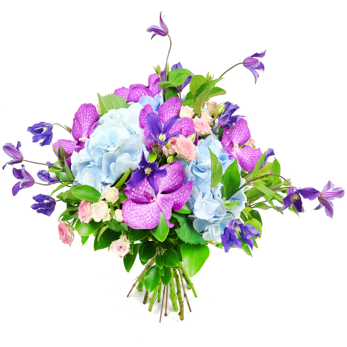 Captured in front of a bright white backdrop, this bouquet invites the eye to wander over its cool, luxurious palette of blues, purples, and soft pinks. Generous clusters of sky-blue hydrangea form the plush central mass, their layered, ruffled petals creating a cushion-like effect that instantly feels soothing and abundant. Threaded through this gentle blue expanse are show-stopping orchids in shades of vivid fuchsia and deep royal purple-likely Vanda or Phalaenopsis-each petal marked with delicate speckles and fine veins, adding both texture and a hint of exotic glamour. From the edges and upper reaches of the bouquet, deep purple clematis blooms extend outward on slender, curving stems, their star or bell-shaped flowers lending graceful height and a slightly untamed, garden-inspired character that might remind you of climbing flowers along pathways near Stanmore Station or up towards Stanmore Country Park. Nestled carefully among the larger blooms, miniature roses in blush pink and creamy ivory contribute a softer, romantic note, their compact rosettes suggesting tender messages and thoughtful gestures. A rich frame of glossy green foliage surrounds the bouquet, with leaves of varying sizes and shapes creating depth and providing a vibrant contrast to the cooler blossoms. The stems are gathered and tied neatly at the base, highlighting the careful hand-tied construction and attention to detail. Overall, the arrangement feels like a refined yet inviting statement piece, perfectly suited for a stylish Stanmore home, a special celebration at a local restaurant, or an elegant same-day floral delivery marking life's most meaningful milestones.