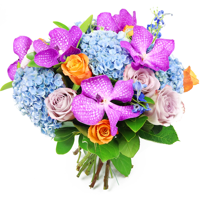 This elegant hand-tied bouquet, photographed against a clean white background, offers a sophisticated blend of colour and texture that feels perfectly at home in a stylish Stanmore living room. Dominating the design are striking Vanda orchids, their large petals glowing in fuchsia and deep magenta hues, each one speckled and veined with fine white markings that resemble a delicate lace overlay. They sit gracefully amongst generous domes of powdery sky-blue hydrangeas, whose densely packed florets create a cushion-like base, giving the bouquet its abundant, rounded silhouette and a softness that echoes the gentle contours of the nearby Stanmore Hill landscapes. Threaded between these main blooms are roses in two contrasting yet harmonious tones: bright orange roses, their cores tightly curled and outer petals beginning to relax, add a vibrant warmth and celebratory spirit; alongside them, dusty-lavender and mauve roses introduce a subtle, romantic note, their velvety petals enhancing the ensemble's refined charm. Rising here and there above the primary blooms, slender stems of deeper blue accent flowers, reminiscent of delphiniums, contribute a vertical element that lends the bouquet a sense of movement and depth. Enveloping the arrangement is lush greenery, with broad, glossy leaves and softer green textures that provide a natural frame, accentuating the brightness of the petals and reinforcing the fresh, just-arrived-from-the-florist impression. At the base, the stems are neatly aligned, trimmed evenly, and carefully bound, showcasing the handiwork of a skilled florist at Flower Delivery Stanmore. Ideal for anniversaries, thank-you gifts, or as a stunning centrepiece for a dinner party in Stanmore and nearby neighbourhoods, this bouquet communicates refined celebration and heartfelt sentiment through its thoughtful composition.