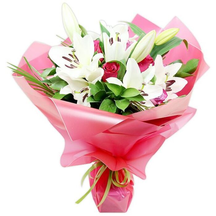 The bouquet in the image stands proudly against a bright white background, making every bloom and ribbon pop with clarity and colour, as though it has just been photographed in a calm corner of a Stanmore flower shop before heading out for delivery. At the heart of the composition are several white Oriental lilies, each with elegantly flared petals that form wide, trumpet-like flowers. Some are fully open, revealing their inner architecture of pale green pistils surrounded by long stamens and dark, rust-brown anthers that sprinkle fine pollen. Others remain in bud, tightly sheathed in pale green and cream, their pointed tips angled upward, suggesting new blossoms ready to open in the coming days. Surrounding these lilies are deep red roses, nestling closely among the larger petals. Most of the roses are still in bud or just beginning to open, their velvety petals folding over each other in intricate spirals, adding depth and a sense of quiet romance that would be fitting for intimate gatherings in Stanmore homes or dinners after walks near Bentley Priory. The flowers are anchored by a mass of rich green foliage: broad, dark, glossy leaves create a strong, supportive base, while finer, reed-like greenery flicks outwards, lending texture and a slightly playful energy to the bouquet. Enveloping the stems is a wrap of bright pink, shiny cellophane or floral paper, folded into full, soft waves that catch reflections, giving the wrapping a lively, almost festive character. The semi-transparent quality of the pink allows subtle glimpses of the green stems beneath, adding visual layers. A slender lime green satin ribbon is tied neatly around the gathered base, its fresh, zesty tone unexpectedly harmonious with both the greens and the pink. Overall, the bouquet feels generous, romantic, and celebratory, perfect for marking milestones, showing appreciation, or sending loving thoughts across Stanmore.