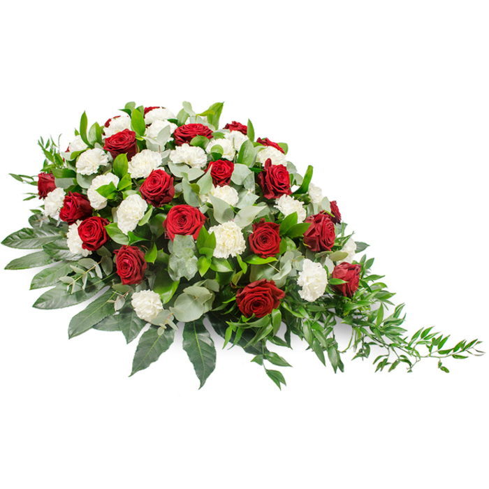 Displayed against a stark white background, this elegant funeral spray draws the eye along its gentle, horizontal sweep. The composition begins with a fuller, rounded cluster of flowers on the left and gradually narrows as it moves to the right, where slender tendrils of greenery trail softly, forming an elongated crescent or teardrop shape. At the heart of the arrangement are deep red roses, richly coloured and tightly petalled, scattered thoughtfully across the surface. Each rose head appears velvety and substantial, a clear symbol of devoted love, respect, and a grief that is both tender and profound. Nestled between them, white carnations bloom in abundance, their many-layered, frilled petals creating a soft, cushion-like texture. Their brightness lifts the darker reds, suggesting purity, remembrance, and the hope of peace. The flowers are supported by a foundation of lush foliage. Broad, dark green leaves provide structure and a deep, glossy backdrop, while sprigs of silvery-green eucalyptus are threaded throughout, adding cool, dusty tones and a sense of airiness to the dense floral mass. From the right-hand side, fine, flexible strands of light green ruscus or similar trailing greenery extend beyond the main body of the spray, introducing a sense of movement and natural grace. The atmosphere this piece conveys is one of serene dignity and heartfelt condolence, the type of floral tribute often chosen for services in Stanmore, perhaps at a local chapel or for a quiet gathering near the green spaces around Stanmore Golf Course. Created with the sensitivity and expertise of a Stanmore florist, the spray feels like a considered, compassionate way to say a final goodbye.