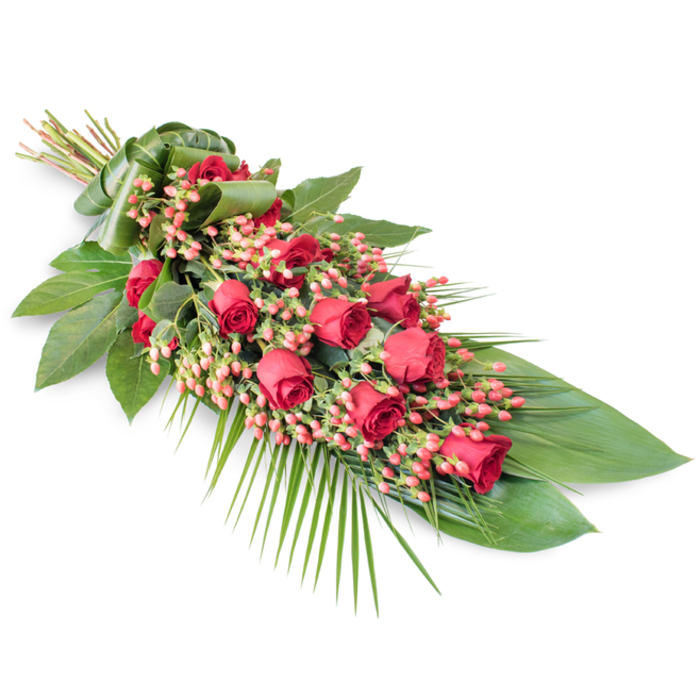An elongated red rose funeral spray is photographed against a bright, white background, its diagonal placement giving the composition a quiet sense of motion. The spray is constructed around a central line of velvety red roses, each flower carefully positioned so that no angle feels sparse. Tight buds sit alongside half-open blooms and fully unfurled roses, their soft, layered petals creating a rich tapestry of crimson shades that capture both intensity and tenderness. Between the roses are interwoven clusters of pinkish-red Hypericum berries, their small, rounded forms adding gentle volume and a slightly lighter, warm-toned red that breaks up the depth of the darker petals. Supporting the flowers is a lush bed of dark green foliage. Broad, glossy leaves, reminiscent of Salal or Aspidistra, fan outwards and form a dense, reliable base, reflecting small highlights of light where the surface catches the camera. From the lower right, fine palm fronds project outwards, their feathery ends softening the outline and giving a sense of airy movement, much like a quiet breeze brushing through the trees on a walk around Bentley Priory Nature Reserve in Stanmore. At the upper left, the stems of the arrangement are neatly gathered and wrapped with an elegantly folded green leaf band, lending the piece a tailored, finished look. This traditional funeral tribute feels especially suited to the reflective spaces of Stanmore's chapels and crematoria, where families gather to say goodbye. The deep reds and rich greens, set so simply against white, express a message of enduring love and dignified remembrance.