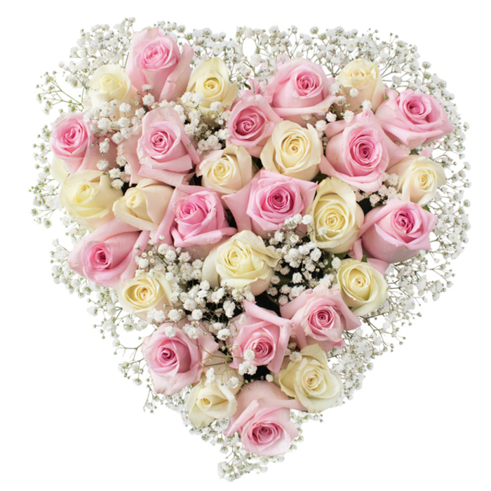 Centred against a spotless white backdrop, this heart-shaped floral arrangement stands as a testament to the artistry of Stanmore florists. Around thirty to thirty-five roses in alternating soft pink and creamy, pale yellow hues compose the heart, their velvety petals unfurling in various stages-some just beginning to open, others in full, graceful bloom. The subtle interplay of colour, texture, and light mirrors the peaceful charm of Stanmore's green parks and welcoming streets. White baby's breath is generously woven throughout, its tiny blossoms creating a dreamy, cloudlike accompaniment that highlights the fullness and softness of the roses. The heart shape is strikingly symmetrical, symbolizing enduring love, compassion, and warmth-qualities cherished by the Stanmore community. Every flower is illuminated by gentle, even lighting, which causes the delicate palette to resonate with freshness and serenity. This arrangement is an invitation to mark life's milestones-anniversaries, proposals, moments of gratitude, or heartfelt goodbyes. With its profound emotional resonance and timeless beauty, the bouquet celebrates all those personal connections that make Stanmore feel like home, elevating both everyday moments and the most significant occasions.