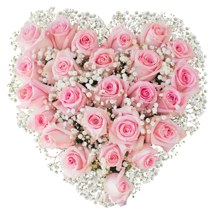 A sculpted heart of fresh blooms occupies the scene: a compact, sumptuous gathering of soft pink roses, their hues shifting from gentle pastel to a slightly deeper rosy blush, arranged with care into a perfectly rounded heart set against a stark white background. Each rose contributes to an overall velvety surface; some flowers remain tighter and more bud-like, others have unfurled into soft, layered cups that catch the light and reveal delicate petal spirals. Nestled among these roses are countless tiny white flowers of baby's breath (Gypsophila), their frothy clusters threaded through the composition like fingers of light, lending an ethereal lift and a delicate contrast that defines the heart's edge. The studio lighting is bright and clear, emphasizing the freshness of the stems, the satiny sheen of petals, and the whisper-fine texture of the gypsophila. There is a serene, tender emotion in the design - restrained yet profoundly expressive - suited for intimate celebrations such as anniversaries, engagement surprises, Valentine's Day gestures, or as a composed tribute for remembrance. Imagining this piece arriving on a quiet morning to a home near Canons Park or along Stanmore Hill, one can sense the cool, green-tinged scent of the roses and the careful craftsmanship behind the compact, even placement of each bloom. The result is both classic and quietly modern: a floral heart that reads as an honest, heartfelt message in soft pink and white.