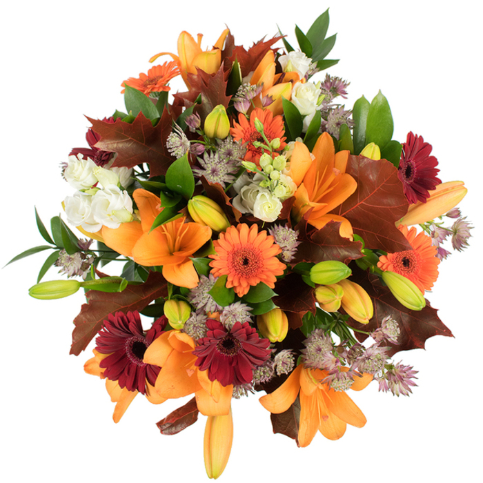 Seen from slightly above on a clean white backdrop, this lush autumn bouquet is a study in warm contrasts and careful florist craft, the kind of arrangement we prepare at Flower Delivery Stanmore for clients across the Stanmore area. Several large orange Asiatic lilies dominate the scene with open, trumpet-shaped blooms and glossy petals; clusters of tightly furled lily buds in pale orange and bright green give the composition life and future promise. Interspersed are vibrant Gerbera daisies in pumpkin orange and deep burgundy, their circular, ray-like petals surrounding dark centres and introducing a joyful rhythm. Creamy white lisianthus - or similar mini roses - offer soft, ruffled textures that calm the palette, while delicate Astrantia in muted purple and lavender bring an intricate, starry filler note. Broad, lobed oak leaves in reddish-brown are positioned like fallen leaves gathered from a walk near Canons Park, lending unmistakable autumn character, and glossy green foliage supports the arrangement, adding freshness and structure. The bouquet is densely packed and appears freshly cut, lit brightly to accentuate each hue and texture; the overall effect is warm, abundant and rustic-elegant. It suits a Thanksgiving centrepiece, a harvest celebration on Stanmore Broadway, or a heartfelt gift to mark an autumn anniversary, delivering the tactile pleasures of petals, the soft perfume of late-season blooms, and the welcoming presence of nature brought indoors.