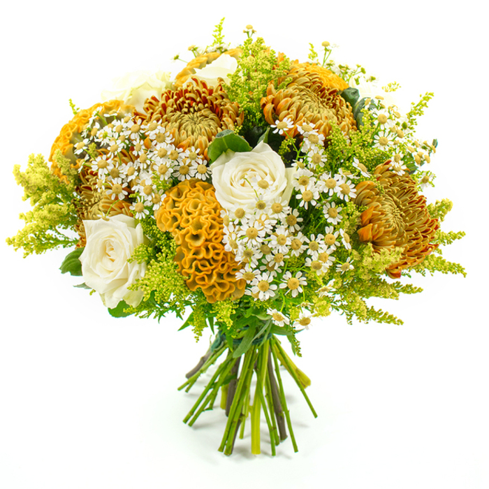 Set against a bright, pure white background, this lush bouquet is presented upright, its colours and textures unfolding in a harmonious blend of warmth and freshness that reflects the gentle pace of life around Stanmore. Dominating the arrangement are several large chrysanthemums, their intricately layered petals forming dense, domed blooms in tones of rusty orange, golden amber, and soft brown-gold. These flowers provide a strong visual anchor and a distinctly autumnal feel, like the turning leaves along Uxbridge Road. Nestled among them are multiple creamy white roses, petals smooth and velvety, tightly coiled at the centre and gradually opening outward, introducing an air of classic elegance and soft contrast to the deeper hues. Adding a sculptural flourish are the cockscomb celosia blooms, coloured in vibrant yellow-orange, with plush, velvety textures that curl into brain-like ridges and coral-like undulations, inviting the touch and drawing the eye. Scattered throughout the bouquet are delicate clusters of white, daisy-style flowers with sunny yellow centres, reminiscent of chamomile or matricaria, bringing a light, cheerful garden charm that gently brightens the composition. Framing and filling the arrangement is an abundance of green foliage and fine, feathery sprigs in lime-green, similar to solidago, which give the bouquet volume, airiness, and a sense of movement, as if stirred by a soft breeze. The exposed stems are neatly gathered together and secured at the base with green florist's tape, indicating a professional hand-tied design ready to place in a vase or deliver as a thoughtful gift across Stanmore. Overall, the bouquet radiates warmth, generosity, and natural beauty, ideal for seasonal celebrations, cosy family gatherings, or simply bringing a touch of autumn indoors.