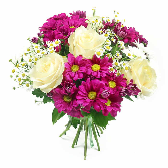 In this image, a lush, rounded bouquet stands upright against a clean, bright white background, allowing the colours and craftsmanship to take centre stage the way they might in the display window of a Stanmore florist. At its core are four prominent roses, their petals a sophisticated creamy white gently shifting toward a pale buttery yellow near the spiralling centres, each bloom fully open and velvety, exuding a quietly luxurious feel. Encircling and weaving between the roses are plentiful chrysanthemums in brilliant shades of magenta and fuchsia, their multi-petalled, daisy-like faces surrounding yellow-green centres that glow like tiny lanterns, adding both texture and playful vibrancy. Fine, airy sprays of small white daisies, similar to chamomile or Matricaria, arc through the composition in light, dancing lines; each petite flower, with its neat yellow centre, brings an element of countryside freshness, as though gathered from a meadow rather than a city suburb. Among the fully open mums, a few smaller chrysanthemum buds in deeper purple-pink tones peek out, lending depth and a sense of evolving life within the bouquet. The flowers are cradled by a collar of rich green foliage, the leaves glossy and varied, forming a natural frame that makes the brighter colours seem even more intense. Below, the stems are trimmed evenly and bound tightly together with a green and white gingham ribbon, the checkered fabric creating a charming, bespoke finish suggestive of a carefully prepared gift. Soft, diffuse lighting reveals every curve of petal and texture of leaf, creating gentle shadows that enhance the bouquet's three-dimensional presence. The arrangement feels joyful yet refined, perfect for same-day delivery around Stanmore, whether for birthdays, thank-yous, or simply brightening a calm home near Bentley Priory or the leafy avenues off the Broadway.