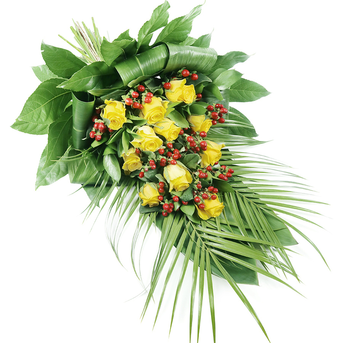 A sophisticated yellow rose and red berry coffin spray is displayed against a pure white background, its elongated form stretching diagonally from the upper left to the lower right, reminiscent of a tribute resting atop a casket during a Stanmore funeral service. At the top left, the point from which the arrangement seems to originate, the stems are bound tightly together and concealed by a bank of dark green foliage. The larger leaves here are shaped and folded with evident skill, overlapping to create a strong, sculptural back to the design. From this focal point, the spray tapers gradually, with the densest area of blooms towards the upper middle, then softening as it extends outward. Throughout the central line of the piece, approximately fifteen to twenty yellow roses appear, each one carefully positioned. Some roses show their first few layers of petals just beginning to part, while others are more open, forming rounded cups of rich, golden yellow that might recall the bright florals in Stanmore's front gardens along Marsh Lane. Their velvety texture is implied by gentle light that picks out the curves of each petal. Weaving between these roses are compact clusters of round, glossy red berries, likely Hypericum, which bring a distinct visual contrast and a tactile quality-shiny and firm compared to the softness of the petals. Circling and underpinning the blooms is a variety of greenery, from medium-sized leaves that fill gaps to thinner, more delicate sprays of foliage. Most striking are the long, palm-like fronds fanning out from the lower right, their narrow leaflets creating a sweeping line that leads the eye along the length of the tribute. The colour palette of bright yellow, deep red, and layered greens suggests warmth, remembrance, and a quiet sense of hope, making this spray an appropriate choice for farewells and memorials in the Stanmore and Belmont areas.