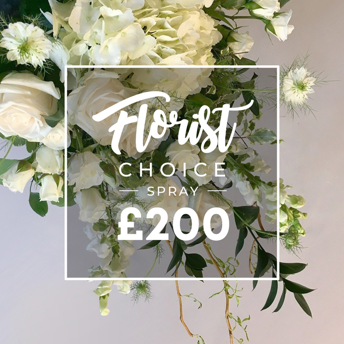 An opulent white-and-cream spray commands the frame, a luxurious cascade of blooms that reads as a garden-in-a-spray. The heart of the arrangement is built from large, creamy white roses, their petals unfurling in soft spirals, paired with generous plumes of ivory hydrangeas that add cloud-like volume. Downstream, slender white blooms-sweet peas or similar-thread their way through the bouquet, while Nigella (Love-in-a-Mist) introduces architectural interest with its green centers and delicate, feathery foliage near the top and along the edges. The composition is framed by a lush array of greens: broad, deep leaves providing a rich backdrop, lighter variegated sprays offering a subtle contrast, and fine, curling tendrils that spill below the main mass in a natural drop. A white square overlay sits at the center, with 'Florist Choice' scripted in an elegant, flowing font, 'SPRAY' in crisp uppercase below, and the bold '?200' anchored at the bottom. The soft, pale-beige backdrop emphasizes the purity of the whites and the freshness of the greens, underscoring the bouquet's premium craftsmanship. Ideal for a high-end funeral tribute, an anniversary, or a refined home display, this spray communicates respect, tenderness, and lasting grace. From Flower Delivery Stanmore, available for delivery across Stanmore and surrounding NW London neighborhoods, with the local touch that comes from a trusted, nearby floristry partner.