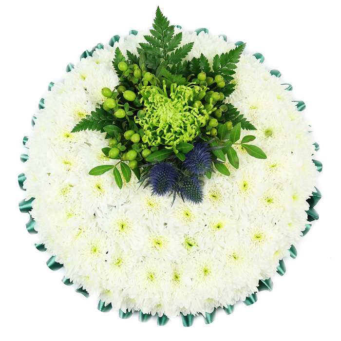 A beautifully composed circular funeral cushion is shown from an overhead perspective, set against a plain white background so its form and texture stand out clearly. The majority of the design is made up of tightly packed white spray chrysanthemums, their many small petals overlapping to create a plush, almost pillow-like surface that seems soft to rest upon. The faintly green centres of each bloom lend a subtle, living glow, stopping the white from feeling flat and instead evoking tranquillity and gentle remembrance. Encircling the tribute, a deep emerald green satin ribbon has been pleated into regular scallops, giving a neatly tailored edge that reflects the light with a quiet sheen. Towards the upper part of the circle, a striking arrangement of green blooms and foliage introduces depth and colour contrast. At its core sits a lime-green spider chrysanthemum, its long, filament-thin petals curling and twisting outward in an intricate display. Around it cluster apple-green Hypericum berries and button-like chrysanthemum heads, supported by rich dark leaves and fine, arching fern fronds that add a touch of natural movement. Emerging confidently from this verdant centre are two Scottish thistles, their spiky, rounded heads shaded in duskier blue and violet tones, offering both a visual anchor and a nod to Scottish heritage or personal symbolism. The overall mood is calm, respectful, and quietly distinctive, the kind of arrangement many Stanmore families might choose when they want something classic yet characterful for a funeral service near Canons Park or along the leafy streets around Stanmore Hill, trusting Flower Delivery Stanmore to prepare every detail with care.