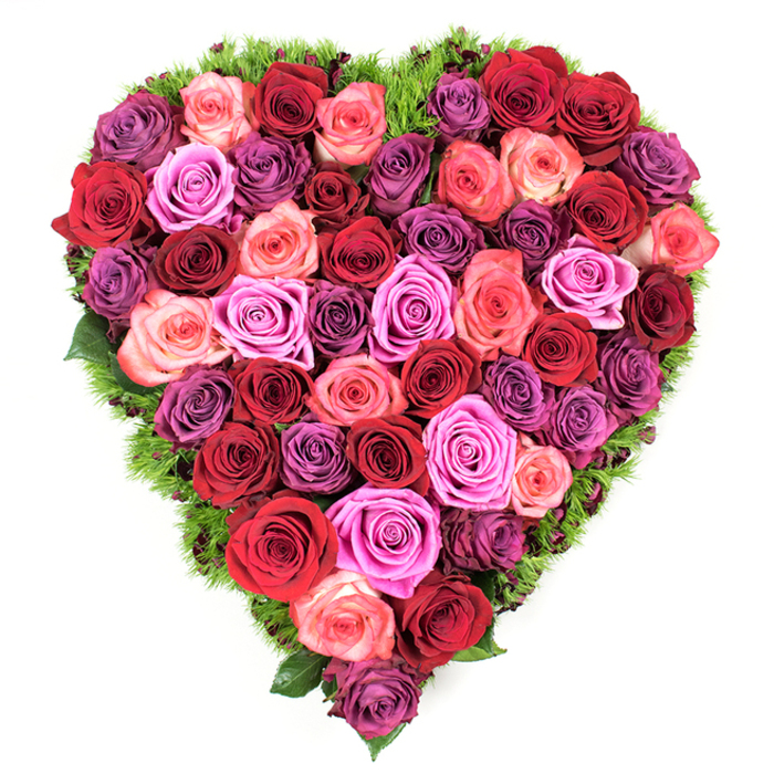 Seen from directly above, this heart-shaped floral composition is a sumptuous study in roses, densely assembled to form a flawless silhouette against a crisp white backdrop. The palette is deliberately layered: dominant crimsons and scarlets bring warmth and immediacy, while an array of pinks - from barely-there blush and coral to lively fuchsia and rich magenta - create mid-tonal interest. Interspersed among them are purples that run from airy lavender and soft mauve to deeper plum, adding dimensional shadow. Each rose is opened to reveal velvety, multi-pliéd petals with compact, slightly furled centers; the tactile richness of the blooms gives the surface a plush, quilted quality. Encircling the heart is a delicate border of dark green, fine-textured foliage - the kind of feathery, fern-like greenery or fine moss that both supports and frames the roses, allowing tiny flashes of verdant life to peek through at the edges. The composition is tight and lush, leaving no negative space, and reads as both an intimate gesture and a formal tribute. One can almost sense the warm, floral aroma and the hush of a Stanmore sitting room on a cool afternoon near Stanmore Tube or Canons Park where such tributes are often prepared and delivered. Crafted with the precision of a seasoned florist, this arrangement suits occasions as varied as a romantic anniversary, Mother's Day celebration, or a respectful memorial, offering a visual language of devotion and consolation.