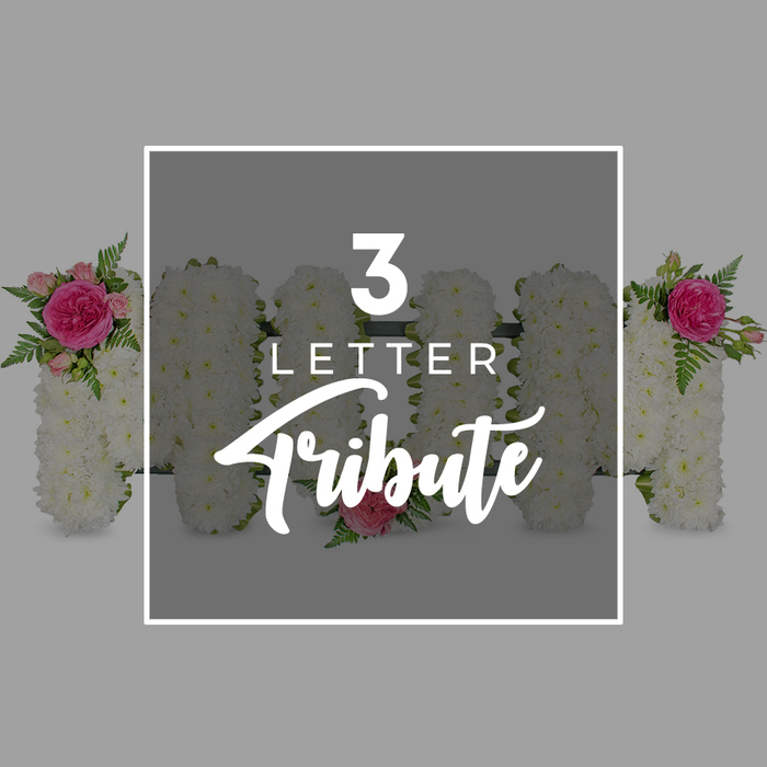 A refined three-letter floral tribute spelling MOM sits at the centre of this image, photographed against a smooth grey background that gives the impression of a calm, overcast sky. The tribute appears enclosed within a slim white rectangular frame, lending it the appearance of an artwork, while indistinct edges of additional chrysanthemum letters peek in at the sides, suggesting that similar designs can be created for other names and words, as often requested by Stanmore families during funeral arrangements. Each letter is constructed from tightly massed white chrysanthemum blooms, their neat, frilled petals pressed closely together to form crisp, readable shapes with a soft, cushion-like finish. On the first M, at the top left corner, a cluster of bright fuchsia-pink garden rose and softer pink rosebuds adds a concentrated burst of colour, framed by slender, arching fern fronds in a fresh, clear green. These accents bring life and movement to the otherwise serene white expanse. The circular O is gently adorned with a single pale pink rose placed at its lower curve, an almost whispered gesture of affection and remembrance. The second M repeats the design of the first, with an identical rose and fern grouping positioned at its upper right, visually bookending the word. Laying over these floral forms, contained neatly within the white frame, is pure white typography: a bold numeral 3 leading, then the word LETTER in a modern sans-serif style, followed by Tribute drawn in a graceful script that suggests a handwritten dedication. The overall composition evokes the quiet dignity of a funeral service near Stanmore's green spaces, offering a personalised floral expression of gratitude and farewell to a cherished mum.