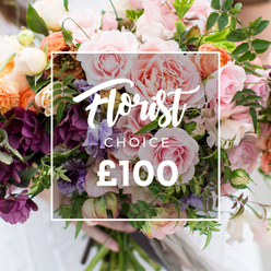 A richly textured, garden-style bouquet fills the frame, fronted by a crisp white rectangular overlay that reads "Florist Choice" in elegant script, with the smaller, block-lettered "CHOICE" beneath and a bold "?100" at the base - a clear presentation of this florist-selected offering. Visually, the arrangement balances softness and drama: large, blush-pink garden roses with full, ruffled faces form the romantic centre; around them cluster deep plum-toned hellebore-like flowers that add theatrical contrast; striped pale purple-and-white sweet peas float above and between blooms, lending delicate movement and scent. Warm peach and coral ranunculus-style blossoms bring luminous accents, while creamy white sprigs and fine-textured fillers create pockets of light. Abundant greenery - from narrow, trailing tendrils to broader, velvety leaves - gives the bouquet an organic, freshly-gathered from the market feeling, as if it were just picked from a patch near Stanmore High Street flower stalls. The light is gentle and clear, catching the subtle sheen of petals and the soft fuzz of ranunculus layers. A pair of hands, resting against a blurred pale sleeve, holds the stems with quiet care, suggesting a personal, artisan touch. This photograph communicates quality and considered composition, a florist's choice suitable for milestone birthdays, heartfelt anniversaries, or elegant wedding accompaniment for families across Stanmore and the surrounding Harrow neighbourhoods.