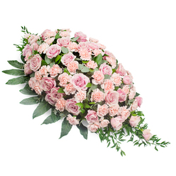 This image shows an elegant funeral flower spray, carefully arranged in a long, tapering teardrop that almost seems to flow down the length of a casket in a Stanmore service. The top left section of the spray is full and rounded, composed of closely packed soft pink roses whose petals layer one upon another like silk, some open wide to reveal their hearts, others still slightly cupped as if holding a final, gentle message. Threaded throughout are light peach-pink carnations, their frilled edges bringing a soft, cushiony texture that contrasts delicately with the smoother rose petals. The colours range from pale blush to slightly deeper rose, creating a calm gradient that never feels harsh, only soothing and warm. Around and beneath this blanket of blooms lies a rich foundation of dark green foliage: broad, oval leaves provide substance and depth, while thinner, more pointed greenery extends outward, especially near the narrow lower right tip, giving the sense of a gentle cascade. The white background and even lighting highlight every detail-the ridges of each petal, the subtle shadows where flowers overlap, the natural shine on some leaves-while maintaining a serene, respectful tone. One might picture this tribute being carried into a Stanmore crematorium or placed tenderly at a graveside near Stanmore Country Park, where the soft colour would stand out against stone and grass. Every aspect of the design speaks of careful craftsmanship and heartfelt intent, creating a floral expression of sympathy that offers comfort, remembrance, and a quiet, enduring beauty for families saying goodbye.