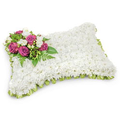 This rectangular floral pillow embodies calm restraint and careful workmanship: a dense carpet of pristine white chrysanthemums forms the entire body, their tiny rounded heads pressed closely to create a soft, almost textile surface that suggests purity and repose. In the top-left corner a concentrated spray of deep fuchsia and magenta roses provides a gentle focal point - the roses' satiny petals open in layered spirals, speaking of love and remembrance. Interwoven with those roses are clusters of small white freesias and delicate budded accents, their slender stems and mild perfume adding a refined fragility to the richer blooms. Verdant elements - arching fern fronds and glossy feeder leaves - cradle the accent cluster and trail delicately across the pillow, bringing depth and a living contrast to the white field. The outer edge is trimmed with a pleated light-green satin ribbon that peeks from beneath the chrysanthemums, a discreet flourish that gives the piece a finished, ceremonial line. Photographed on a crisp white background with soft, natural shadowing, the arrangement reads as both sculptural and comforting, a traditional sympathy tribute often chosen for funeral services or graveside remembrance. Crafted with local sensibility for families across Stanmore and nearby Canons Park, this style is familiar to clergy and funeral directors in the area and is quietly presented by Flower Delivery Stanmore as a compassionate way to honour a life.