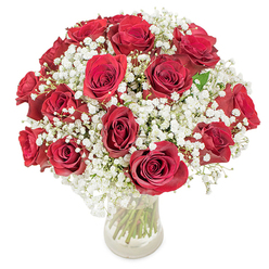Arranged with meticulous care, this rounded bouquet brings together approximately eighteen to twenty deep, velvety red roses and airy sprays of white baby's breath (Gypsophila paniculata) to create a compact, sumptuous silhouette. Each rose is chosen for its fully opened bloom and rich crimson hue, petals layered like satin that invite a hand to feel their soft depth; between them the baby's breath forms a frothy veil, tiny blossoms like spilled snow that lighten the overall intensity and create visual breathing space. The flowers sit in a clear glass vase against a clean white backdrop so that the stems, chords of green and leaf, are visible through the water-an honest, natural base that grounds the floral crown. Light plays across the ensemble, emphasizing the velvety surface of the roses and the whisper-fine texture of the gypsophila, while a subtle floral perfume drifts up: rose warmth balanced by the faint sweet-green aroma of fresh stems. This arrangement feels both celebratory and serene, designed to communicate deep affection, whether given for an anniversary, a meaningful apology, or a romantic surprise. As a local florist familiar with Stanmore life, I imagine these blossoms tucked into a car for delivery along Marsh Lane or carried into a flat near Stanmore Park, offering an immediate visual and emotional embrace through careful craftsmanship and thoughtful presentation.