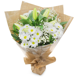 Pristine white flowers are celebrated in this carefully composed hand-tied bouquet, presented upright against a bright white backdrop so every shape and texture reads clearly. The central focus is a generous cluster of daisy-like chrysanthemums whose many narrow petals radiate from gentle yellow centres, producing a soft, sunlit halo that feels both familiar and uplifting. Interspersed through the chrysanthemums are elongated lily buds in pale green-yellow; most remain elegantly closed, their tapered forms and faint striping suggesting the quiet promise of future blossoms rather than immediate spectacle. Fine clouds of Gypsophila (baby's breath) are woven throughout, their tiny white florets lending a delicate, airy filigree that breaks the larger shapes into softer, more intimate planes. Rich, dark green foliage frames and supports the composition, its satin leaves providing depth and a natural contrast that sharpens the whites. The bouquet is wrapped in a tactile pairing of crinkled brown kraft paper and a glossy outer cellophane - the kraft grounding the design with rustic warmth while the clear film reflects a soft studio light and protects the stems. The base is gathered and secured to form a tidy handheld bundle, practical for carrying across local streets like Stanley Park Road or up to the Stanmore Tube. The overall impression is one of quiet optimism and considered craft: a bouquet that reads thoughtful and fresh, suitable for a birthday, a simple thank-you, or a sympathetic gesture, with an unobtrusive scent of green stems and clean petals that suggests a morning-picked freshness.