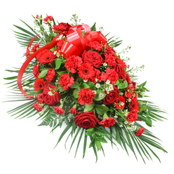The image reveals a lavish red casket spray displayed on a pure white surface, every colour and contour clearly picked out, much like it would appear in the calm light of a Stanmore funeral chapel. The arrangement forms an elongated, one-sided spray, full and rounded through the middle and gently narrowing at the ends, giving a sense of gentle movement and flow. Deep red roses dominate the central area, their velvety petals layered in classic spirals, some blooms fully open while others remain partially closed, capturing both the intensity and quietness of farewell. Around them, red carnations build soft, ruffled mounds of colour, and red gerbera daisies with bold, open faces and darker centres lend a modern, graphic note to the otherwise traditional design. Dotted throughout are small clusters of white filler flowers - likely gypsophila or miniature chrysanthemums - which act as tiny sparks of light, breaking up the solid red and adding elegance and depth. At the upper centre of the spray, a large red satin ribbon is tied into a multi-loop bow, its glossy surfaces catching highlights, while long ribbon tails thread gracefully down through the flowers, suggesting a last gentle caress. The structure is framed by sweeping dark green palm leaves that fan outwards from the base and sides, supported by dense, darker foliage and a few fern-like fronds that add fine texture and create a lush background. This dignified, richly coloured tribute would be fitting for a casket or memorial display in Stanmore, bringing a message of enduring love and respect to services held around the synagogues, churches, or crematoria serving the local community.