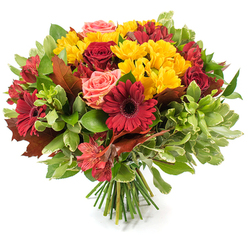 A vibrant, hand-tied bouquet photographed on a white surface, composed to celebrate autumn with a confident, textural arrangement that a local Stanmore florist would recognise and craft. Dominant in the centre are rich, dark red gerbera daisies whose broad, flat petals radiate outward and draw the eye, paired with deep crimson roses whose layered, velvety petals range from tight buds to fully opened blooms. Bright yellow spray chrysanthemums are sprinkled throughout, their many tiny petals forming joyful bursts of sunny colour that contrast beautifully with the deeper tones. Coral-pink roses and soft peach accents sit quietly among the stronger hues, lending a gentle softness that balances the composition, while slender orange-red alstroemeria bring fine, striped detail and a star-shaped silhouette. Surrounding greenery - glossy deep greens with lighter, textured leaves - frames the flowers and gives the bouquet its rounded, abundant shape. Crucially, several large bronze and reddish-brown autumn leaves are tucked through the spray, their lobed edges and matte texture reinforcing the seasonal theme and suggesting damp walks near Stanmore Station or the crisp paths around Canons Park. The stems are neatly bound at the base, visible as a tidy cluster of green stalks, indicating professional hand-tying and ease of placement on a mantel or dining table. As a Stanmore-based florist I cherish how this piece combines colour, scent, and texture; at Flower Delivery Stanmore we often create similar seasonal centrepieces that evoke the comforting warmth of autumn evenings and neighbourhood gatherings.