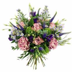 Presented against a spotless white background, this abundant bouquet is a study in refined colour pairing and careful craftsmanship, the sort of floral gift you might imagine arriving at a Stanmore doorstep on a special afternoon. At its core, layers of soft pink roses create a romantic centrepiece; some blooms are still gently cupped, while others are fully open, revealing spiralling petal formations dusted with slightly deeper pink tones along the edges. Intertwined with these are generous carnations in dusky rose and muted mauve, their frilled petals curling and overlapping to give the bouquet a textured, cushion-like fullness. Adding a striking vertical element, slim stems of Veronica in deep indigo-violet push upward through the blooms, their slender spires catching the eye and lending a modern, architectural touch. Nestled amongst them, rich purple lisianthus flowers open in bell-shaped layers, with a few tighter buds hinting at blossoms yet to unfold. Fine sprays of aster-like flowers in lavender-blue scatter tiny, starry blossoms across the arrangement, creating a veil of delicate texture that gently blurs the lines between each larger flower. Surrounding and supporting this floral heart is an array of greens: vivid chartreuse filler with a slightly mossy look, and broader sprigs of silvery eucalyptus leaves that add both structure and cool-toned contrast, reminiscent of the mixed foliage seen around Stanmore Country Park. The stems are gathered neatly at the base, cut evenly and bound in the classic hand-tied style, ready to slip into a clear glass vase. Viewed from a slightly overhead perspective, the bouquet feels luxurious yet approachable, perfect for same-day flower delivery in Stanmore to celebrate an anniversary, congratulate someone on a new home, or simply brighten a quiet evening.