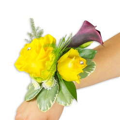 As a floral stylist might describe it standing at a white-topped bench by a studio window, this wrist corsage reads as a small, sunglass-bright tableau of colour and texture. Two golden-yellow roses take centre stage-one unfurled and generous on the left, the other more cupped and intimate to the right-each accented with a tiny sparkling crystal at the heart that twinkles with every tilt of the wrist. Nestled behind them, a single deep burgundy to plum calla lily curves upward in a sleek, sculptural line, its dark sheen intensifying the roses' sunny optimism. Sprigs of delicate asparagus fern float like soft lace around the flowers, while compact clouds of white button-like filler flowers knit the design together and soften the silhouette for comfortable wear. Variegated green-and-cream leaves lend structure and a cool, glossy texture beneath the petals, preventing the corsage from feeling fussy and keeping it wearable for dancing or formal portraits. The slender fastening is hidden beneath the blooms so the arrangement looks effortless when worn on a forearm with a light-to-medium skin tone. Close-up you would notice the tactile contrast-the velvety rose petals, the satiny calla, the feathery fern and the crisp, cool leaves-plus the quiet glint of rhinestones that makes the piece feel celebratory without being showy. Tailored for prom nights, weddings or an anniversary celebration in Stanmore or nearby streets around Stanmore Tube, this corsage reads as both joyful and refined, a small wearable statement of occasion.
