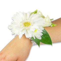 Against a crisp white background a delicate white floral corsage rests gently on a light-toned wrist, photographed to reveal texture and craftsmanship. The focal flower is a vigorous white Gerbera daisy, its many satin-smooth petals radiating from a luminous lime-yellow center that registers like a tiny, textured sun. Surrounding it are small, cushiony sprays of white chrysanthemum-style blooms and a few creamy lisianthus buds-some just unfurling-whose layered petals create a soft, romantic depth. Lush, deep green Ruscus or salal leaves rise behind the cluster, their glossy surfaces and strong veins giving weight and contrast so the whites read as bright and pristine. The arrangement is secured with a refined multi-strand bracelet of tiny white pearls, which encircle the wrist with a gentle, vintage shimmer and tuck discreetly beneath the flowers. The lighting is even and clean, accentuating the petals' velvety texture and the slight sheen on the pearls, and there is an implied fresh, cool scent of cut stems and green foliage that evokes early-morning deliveries. Thoughtfully suited to weddings, proms, and milestone celebrations, this corsage feels timeless and quietly celebratory-exactly the sort of piece Flower Delivery Stanmore prepares for bridal parties and prom-night orders across Stanmore High Street and surrounding streets. Its compact scale and elegant palette make it an intimate memento, crafted to sit comfortably on the wrist while complementing formal attire.