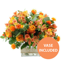 This image features a vibrant floral arrangement that seems to capture the golden glow of early evening over Stanmore's leafy streets, set crisply against a white background for maximum impact. Several large orange roses command attention at the centre, their petals richly saturated and subtly transitioning to yellow towards the middle, giving each flower a sense of depth and movement. These are joined by sunny yellow garden roses, with tightly layered, almost sculptural petals that form tidy, round blossoms, adding a refined touch to the design. Threading gently between them are peach and soft orange alstroemeria, or Peruvian lilies, their narrow petals arching outward and decorated with fine streaks and speckles that lend an artistic, almost watercolour-like feel. Scattered among the softer forms are small, intense orange balls of spiky blooms, reminiscent of thistle or safflower, which provide intriguing texture and a slightly rustic energy. A generous collar of greenery surrounds the flowers, mixing cool, silvery eucalyptus leaves with darker green foliage to create natural depth and contrast. All stems are arranged with care in a clear, square glass vase, allowing the viewer to see the straight stems and clear water inside, a subtle reminder of the arrangement's freshness, as if prepared that morning by Flower Delivery Stanmore near Stanmore Station. Wrapped around the middle of the vase is a band of natural beige burlap or jute, adding a handcrafted, earthy accent that balances the clean lines of the glass. In the lower right-hand corner, a bold circular orange badge with white capital letters clearly states "VASE INCLUDED," indicating that this is a complete, ready-to-display piece. The bouquet as a whole radiates cheerful warmth and comfort, ideal for celebrating new beginnings, sending thanks to a neighbour in HA7, or creating an inviting focal point on a living room sideboard overlooking Bentley Priory Nature Reserve.