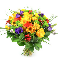 Set against a clean white backdrop, this hand-tied bouquet appears as a bright, cheerful sphere of colour, the sort of uplifting design a local Stanmore florist might create for a special celebration. The arrangement is intentionally compact and round, with every bloom placed to contribute to a feeling of fullness and harmony. Yellow dominates, with classic roses in a warm, buttery shade and generous yellow chrysanthemums whose layered petals create soft, cushion-like textures. Smaller daisy-style yellow flowers are woven throughout, amplifying the sunny mood and recalling the easy brightness of a stroll along Stanmore Broadway. Accents of vivid orange come from bold gerbera daisies and similar daisy-shaped blooms, their flat, open faces drawing the eye and adding a sense of lively movement. Rich, deep purple lisianthus blooms are interspersed among the warmer hues, some fully unfurled, others in partially opened bud, their gently ruffled petals lending depth and elegance. Nestled between these larger flowers are lime-green button chrysanthemums, perfectly rounded and tactile, their intense green shade offering a sharp, refreshing counterpoint that lifts the whole palette. Scattered clusters of glossy, ruby-red hypericum berries provide a festive touch and a different, bead-like texture, sparkling softly against the petals. The entire bouquet is cradled by a lush collar of dark, glossy greenery, likely ruscus, which shapes and supports the design, while graceful, slender blades of ornamental grass arc upwards, giving a feeling of airiness and flow. The stems are neatly gathered and tied at the base, emphasising its fresh-cut nature, ready for display in a Stanmore home or to be carried as a thoughtful gift to mark birthdays, thank-you moments, or cheerful get-togethers.