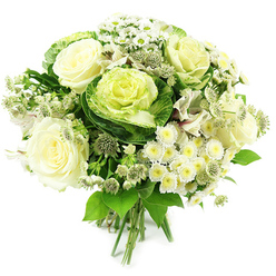 This carefully composed bouquet, set against a clean white background, captures the serenity of a soft Stanmore morning. The arrangement is built around plush, fully opened roses in shades of ivory and creamy white, each bloom revealing delicately layered petals that spiral towards a pale, buttery centre, evoking memories, affection and a soothing sense of familiarity. Nestled amongst these traditional roses are sculptural ornamental cabbages, their rosettes displaying deep green outer leaves that gradually merge into tightly curled, lighter green and yellowish-green hearts, giving the bouquet its contemporary twist and a hint of kitchen-garden charm. Scattered throughout are clusters of tiny white spray chrysanthemums and small daisy-like flowers, each with a subtle yellow-green centre that adds texture and cheerful lightness, like sun catching the greenery near Stanmore Country Park. Slender stems of astrantia carry star-shaped, greenish-white florets that rise slightly above the main flowers, contributing a refined, almost lacy wildness that softens the design. You can also glimpse delicate white alstroemeria, their flared petals faintly marked, interwoven among the larger blooms to provide depth and gentle movement. A generous frame of lush green foliage, ranging from broad, shiny leaves to finer, more willowy greens, cradles the entire composition and underscores its fresh, just-arranged quality. The stems are gathered and tied neatly at the base, ready to be placed into a vase on a table overlooking one of Stanmore's quiet residential streets. Calm, elegant and quietly confident, this bouquet feels ideal for expressing sympathy, celebrating understated milestones or bringing a sense of clarity and peace into a contemporary home.