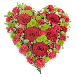 A striking heart-shaped arrangement of red and green blooms appears against a clean white backdrop, its carefully sculpted form suggesting the skilled hands of an experienced Stanmore florist. At the centre of this design are several large, velvety red roses, strategically placed to create balance and visual rhythm. Their tightly curled petals form deep, romantic centres that invite quiet reflection. Surrounding these roses, clusters of red carnations are packed closely together, their softly frilled edges overlapping like layers of fine fabric, building up a rich, cushiony surface. Threaded through the sea of red are clusters of bright lime-green button chrysanthemums, whose small, domed heads and neat petals add playful bursts of colour and texture, lending a sense of freshness and hope. The heart is encircled and gently punctuated by variegated foliage, probably pittosporum, with leaves that are mid-green in the centre and delicately edged with creamy white. This leafy border helps define the curve and point of the heart, making its outline crisp and unmistakable. Near the lower point, a few wispy fern fronds peek outwards, their feather-like leaves providing a final touch of natural elegance. The overall mood is respectful and comforting, ideal for saying farewell at a local service near Stanmore Hill or sending condolences to a home close to Bentley Priory. The arrangement's combination of lush red roses, soft carnations, and uplifting green chrysanthemums captures the emotions of love, memory, and support, making it a fitting tribute during times of loss and remembrance.