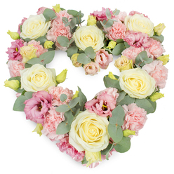 Displayed against a pure white backdrop, this heart-shaped floral wreath has the gentle, composed presence of a sympathy tribute destined for a chapel in Stanmore or a family gathering near Stanmore Country Park. The heart is fully formed and densely arranged, with no visible gaps, giving it a soft, cushioned look that feels both respectful and comforting. Creamy ivory and pale yellow roses are spaced carefully throughout, each blossom rounded and full, with petals spiralling outward in even, velvety layers that convey quiet elegance. Between the roses, clusters of light pastel pink carnations create volume and delicate movement, their frilly, textured petals overlapping like layers of fine fabric. Deeper magenta-pink lisianthus flowers are scattered thoughtfully across the heart, their more open, gently fluted blooms bringing subtle depth and variation in shape, while still maintaining the pastel harmony. Cool, silvery-green eucalyptus winds through the design, its round, satin-like leaves adding a fresh, restrained greenery that frames the flowers without overwhelming them. Small yellowish-green buds are tucked in among the petals, introducing hints of new growth and a sense of living, breathing nature. The overall colour palette is soft and soothing, a blend of cream, blush pink, and muted green that evokes serenity, remembrance, and affectionate reflection. This heart-shaped arrangement would feel very much at home at a Stanmore funeral, memorial, or celebration-of-life service, providing a heartfelt floral message of sympathy and enduring love from family, friends, or colleagues wishing to honour someone dear.