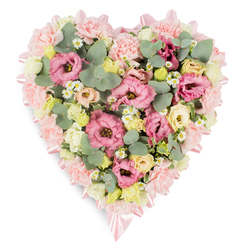 Displayed on a clean, white background, this heart-shaped funeral tribute radiates quiet tenderness, the kind of piece often chosen by families in Stanmore who want something soft yet deeply expressive. The outline of the heart is formed from a thick collar of pale pink blooms, particularly ruffled carnations and similar plush flowers, giving the shape a padded, comforting feel. A narrow soft pink satin ribbon runs along the outer edge, tracing the curves of the heart and tying into neat, elegant bows at the upper and lower points, lending the tribute a polished and respectful finish. Inside this ribboned border, the heart is densely packed with pastel flowers. Pink lisianthus, with their softly swirling, velvety petals, are interspersed with lighter pink carnations, building a richly textured foundation. Here and there, clusters of creamy yellow and ivory spray roses appear, adding quiet brightness that brings warmth without overwhelming the design. Small white daisy-like blossoms with sunny yellow centres are scattered across the heart, evoking the simple charm of wildflowers you might see edging paths near Bentley Priory Nature Reserve. Between the blooms, rounded, silvery-green eucalyptus leaves and deeper green, variegated foliage weave gracefully, contributing cool tones, gentle fragrance, and a natural flow. The composition feels full, balanced, and thoughtfully crafted, a floral heart created to rest on an easel or lie beside the coffin during a service in one of Stanmore's churches or crematoria. It serves as a tender symbol of love, remembrance, and gratitude for a life lived, offering quiet comfort to those gathered to say their farewells.