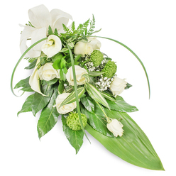 A carefully composed sympathy spray, long and slightly cascading, rendered in a hush of whites and lively greens and photographed against a clean, unobtrusive backdrop so every element reads clearly. The focal cluster includes several creamy white roses, some opening wide with layered, almost luminous petals, others curled into reassuring buds; their delicate scent is reminiscent of cool mornings. Complementing them are the elegant silhouettes of Calla lilies-pure white and trumpet-shaped-whose sculpted forms lend an air of solemn grace. Interspersed are chartreuse, button-style chrysanthemums whose tight, spherical texture offers a modern contrast to the softer blooms. Wisps of baby's breath (Gypsophila) are sprinkled throughout like softening breath, giving an overall cloud-like lightness. The greenery is varied and tactile: deep, glossy leaves provide weight and structure, variegated foliage adds streaks of pale green and ivory, and fern fronds introduce a gentle woodland note along the top. Two long, slender blades of vivid green arch with graceful energy, drawing the eye down to a prominent smooth bright-green tropical leaf that tapers to form the arrangement's pointed tail. At the upper left a cream-coloured fabric bow with subtle matte texture completes the presentation with a comforting, traditional touch. As an experienced local florist serving Stanmore and the surrounding neighbourhoods, Flower Delivery Stanmore often recommends this refined spray for funerals and memorials; under soft natural light its mix of textures and tones communicates quiet respect, consolation, and a sense of timeless care.