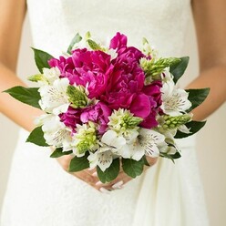 This close-up wedding image focuses entirely on a lush hand-tied bouquet held at waist level against the clean, bright backdrop of a white bridal gown, its subtle fabric texture barely visible beneath the explosion of colour. In the centre, large, intensely fuchsia and magenta peonies create a dense, luxurious core, their many ruffled petals overlapping in soft waves that look almost like silk cushions. Nestled among them, pristine white alstroemeria-Peruvian lilies-open gracefully, each bloom adorned with delicate maroon speckles and fine linear markings that lend an exotic, almost painterly detail. Between these blooms, lively green spiky buds and textural fillers push upwards and outwards, injecting a playful energy and evoking the freshness of gardens around Stanmore and nearby Canons Park in late spring. Broad, deep green leaves with a gentle gloss encircle the bouquet, providing both structure and contrast, so the bright flowers appear even more vivid. The bride's hands, relaxed yet careful, show pale pink polished nails, adding a soft, feminine note that ties in with the romantic character of the design. The composition is tightly framed, with the bouquet dominating the frame and the rest of the scene melting into a light, creamy blur, suggesting natural daylight filtering through a nearby window. As a design, it feels both classic and modern-perfect for a Stanmore wedding where tradition meets personal style-capturing that fleeting moment just before the bride walks down the aisle, bouquet freshly prepared and ready to be admired by family and friends gathering nearby.