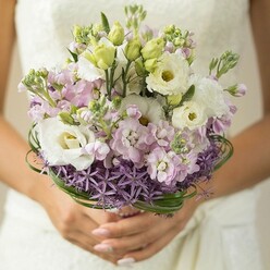 Capturing the magic of a Stanmore bride's special day, this photo centres on a lush, pastel bouquet nestled in gently clasped fingers. The arrangement is awash in creamy white lisianthus-each bloom subtly ruffled, inviting the touch and glowing in the soft window light that might spill across Belmont Circle. Peachy-pink and lavender-lilac stocks, tightly clustered, layer the bouquet with a whimsical texture evocative of Stanmore's wildflower borders. Emerging at the base is an unexpected flourish-a band of deep violet allium stars, their pointed bursts forming a bold yet refined collar. Wrapping the midsection, finely arched loops of glossy bear grass reflect the skilled hand of a local artist, echoing green walks near Stanmore Hill. Speckled throughout, fresh lisianthus buds and tapered foliage highlight the bouquet's garden-fresh feel. The composition is set off by the bride's softly manicured hands and a gossamer white gown in the background, its subtle texture suggested rather than shown. Crafted for modern ceremonies around Stanmore and offering both serenity and flair, this bouquet's colours and fragrances promise both joyful beginnings and cherished tradition-a true hallmark of Stanmore's vibrant wedding scene.