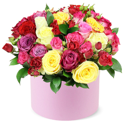 Bright, confident, and brimming with celebratory light, this hatbox bouquet speaks the language of joy across Stanmore's streets. A flood of rose colours-sunny yellows, bold reds, playful pinks, and cool purples-creates a lively tapestry that feels like summer visiting a quiet NW London home. Each bloom carries its own personality: large, open blossoms with velvety petals; tighter spray roses and petite buds that hint at stories yet to bloom. The roses sit snugly in a round, pastel pink cylinder with a soft matte finish, a contemporary frame for a riot of colour. Dark green foliage threads through the arrangement, offering depth and a garden-fresh backdrop. The composition forms a domed, abundant silhouette that sings of hospitality and warmth. The white background isolates the bouquet, letting fragrance, texture, and hue take centre stage. This design makes a thoughtful gift for birthdays, anniversaries, or a heartfelt expression of love, and it's widely available for same-day delivery across Stanmore, Edgware, and nearby pockets of northwest London, thanks to Flower Delivery Stanmore.