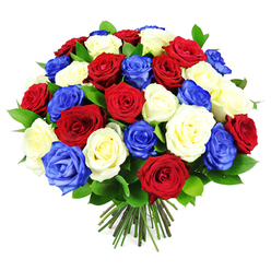 A lush, hand-tied bouquet of roses in a patriotic palette of red, white, and royal blue dominates the frame, its rounded shape and rich colours glowing against a clean white background. The roses are densely arranged, forming a full, domed cluster reminiscent of a perfectly pruned garden rose bush, the kind you might find in a well-tended front garden near Stanmore station. Each bloom shows off its own character: red roses with deep, velvety petals spiralling tightly from the centre, white roses with smoother, creamy petals that catch the light softly, and striking blue roses adding a vivid, sapphire-like note of modern drama. Small, glossy green leaves weave discreetly between the rose heads, giving structure and a hint of natural wildness while keeping the focus firmly on the saturated colour trio. The stems are gathered in a tidy bundle at the base, neatly cut and aligned, as though ready to be placed straight into a favourite vase in a Stanmore living room overlooking the park. Even, neutral lighting ensures that every hue remains clear and uncompromised, with only delicate shadows between the blooms to emphasize depth and texture. The overall mood of the bouquet is confident and uplifting, ideal for patriotic holidays, remembrance services, or marking a special milestone with family and friends. It suggests a sense of shared values and pride, a floral expression that could just as easily grace a formal gathering in central Stanmore as it could a quiet, reflective corner at home.