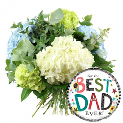 This image shows a joyful Father's Day arrangement set against a simple white background, highlighting every detail as though it were displayed in a Stanmore florist window. On the left, a generously rounded bouquet of hydrangeas takes centre stage, its shape full and balanced. At the heart of the arrangement are creamy white hydrangea heads, their tightly packed petals forming velvety, cloud-like domes that soften the entire design. Around them, light blue hydrangeas appear at the sides and toward the upper right, adding cool, tranquil tones that suggest calm appreciation, reminiscent of the quiet, leafy streets leading towards Stanmore Hill. Pockets of vivid lime-green hydrangeas sit at the lower left and right edges, injecting a fresh, zesty contrast that feels joyful and modern. Threaded among the blooms, sprigs of eucalyptus with silvery-green, rounded leaves mingle with darker green foliage, creating layers of texture and depth while hinting at a crisp, herbal scent. The stems of the bouquet are clearly visible at the bottom, gathered neatly in a hand-tied style that speaks of expert florist craftsmanship. To the lower right, overlapping the bouquet, is a glossy, circular foil balloon. Its centre is bright white, framed by stylish black-and-white striped bands at the top and bottom. Across the balloon, the message "For the BEST DAD EVER!" is written in a lively combination of fonts and colours: "BEST" and "DAD" are rendered in mismatched but harmonious letters-reds, teals, greens, polka dots, and stripes-while smaller black text introduces and finishes the phrase. Sprinkled stars and dots in various colours, along with a small "No. 1" rosette icon, reinforce the celebratory mood. The overall effect is a thoughtful, cheerful gift set, ideal for same-day delivery around Stanmore to show admiration and love for a much-valued dad.