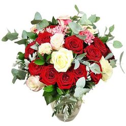A rich and romantic bouquet of roses is presented here in a clear glass vase, isolated against a clean white background so that every bloom, leaf, and stem stands in crisp detail, much like a display seen in a Stanmore boutique florist. The vase itself has a rounded belly that narrows toward the neck, providing both stability and a gentle upward sweep to the design. At the centre, deep red and vibrant scarlet roses cluster in abundance, creating a sea of velvety petals. Some flowers are tightly furled buds promising full bloom, while others have opened wide, displaying layered interiors that speak of passion and long-lasting devotion. Interspersed among these are creamy white and ivory roses, along with a few pale blossoms edged with a subtle blush pink, adding lightness and a romantic glow that softens the intense reds. Scattered clusters of small bright pink filler flowers nestle between the larger roses, introducing a fine, lacy texture that keeps the arrangement from feeling too solid. Blue-green eucalyptus, with its distinctive rounded leaves and silvery wash, arcs gently around the flowers, giving the bouquet a modern, airy character and recalling the fresh scent that might fill a Stanmore home on a special evening. Dark green rose foliage and a hint of paler, silvery-green leaves fill out the shape, ensuring that the bouquet appears lush and well-rounded from every angle. Through the transparent glass, you can see the straight stems and clear water, underscoring the impression of freshly prepared flowers ready for same-day delivery around Stanmore, Belmont, or along Marsh Lane. This design is ideal for marking anniversaries, romantic milestones, or any occasion where sincere emotion should be expressed with elegance and style.