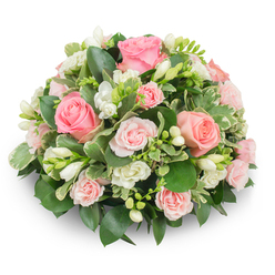 Looking at this compact, rounded arrangement, imagine a gentle dawn over Stanmore Common-the same soft light that lifts the blush of each rose and the cool white of the freesia here. The bouquet is a close-knit dome of pale to mid-pink roses, some wide open with their velvety spirals fully revealed and others smaller spray stems that create pockets of tender colour. Between those roses, clusters of white freesia stand upright, their narrow tubes unfolding into crisp, bell-like blossoms; some are open and show faint yellow centres, while others remain as promise-filled buds. The greens form a lush backdrop: deep, glossy leaves provide the foundation and variegated margins catch the eye with creamy highlights, lending a gentle lift to the palette. The composition is dense and formal-no stems visible-crafted to feel like a floral cushion that offers comfort and calm. There is a soft, almost powdery scent in the imagined air: the light sweetness of freesia meeting the warm, heady perfume of roses. I picture this design being chosen for quieter celebrations-an intimate birthday in a Stanmore home, a welcome for a new baby, or a get-well bouquet delivered to a neighbour off Stanmore Broadway-where tenderness matters more than spectacle. The natural light in the photograph reveals delicate petal textures and a serene colour story, a white-and-pink harmony made to soothe, celebrate, and comfort with understated elegance.