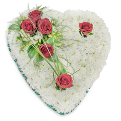 An elegant heart-shaped memorial arrangement, lovingly assembled from a plush bed of small, immaculate white chrysanthemums, each bloom pressed close to the next to create a unified, pillow-like surface of pure white. A gentle cluster of three deep red roses rests on the upper left, accompanied by another full rose nearby and a solitary bloom toward the lower point - all petals unfurled to reveal velvety crimson depths that speak of love, respect, and poignant remembrance. These roses are woven into a tapestry of rich, glossy foliage: broad leaves, delicate fern-like fronds, and a scattering of tiny white accent flowers and slender bear grass blades that arc gracefully from the heart and add a soft, green punctuation to the composition. A thin emerald-green satin ribbon neatly traces the outside edge, providing a sober frame that heightens the emblematic heart shape. The piece is lit with a calm, overhead light that emphasizes texture - the chrysanthemum cushion's softness, the roses' satin sheen, and the foliage's fresh gloss - and suggests a subtle, green-tinged fragrance. As a local Stanmore florist I would recommend this style for a dignified funeral spray or for laying at a service near Stanmore Broadway or Bentley Priory; at Flower Delivery Stanmore we often prepare similar tributes for families seeking a classic, heartfelt expression of condolence. The overall effect is composed, reverent and quietly consoling, a visual and sensory gesture meant to cradle memory and offer solace.